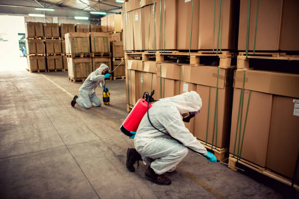 Best Pest Removal Services  in Montauk, NY