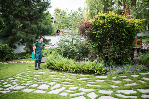 Best Affordable Pest Control Services  in Montauk, NY