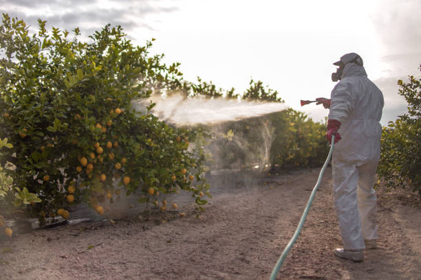 Best Pest Removal Services  in Montauk, NY
