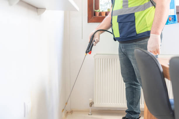Best Local Pest Control Services  in Montauk, NY