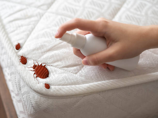 Best Commercial Pest Control Services  in Montauk, NY