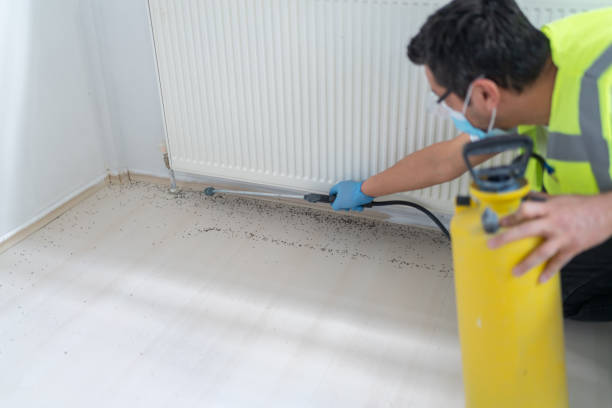 Best Mosquito Control Services  in Montauk, NY